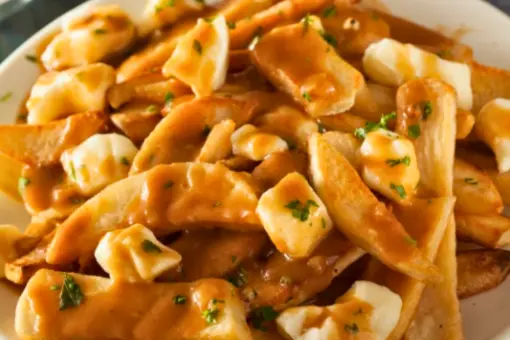 regular poutine by indian connection pizza regular poutine by indian connection pizza